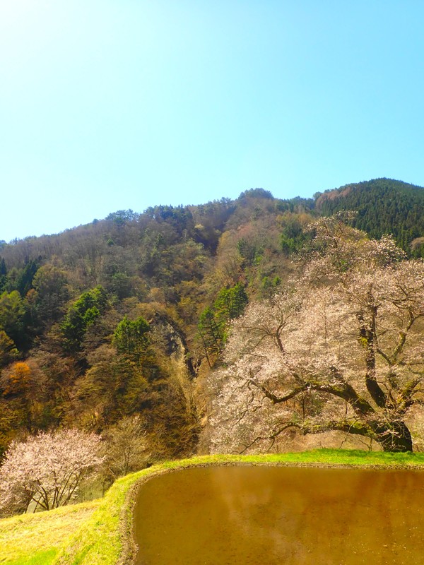 第55弾は阿智村touring