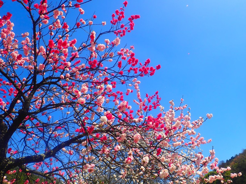 第55弾は阿智村touring