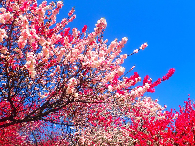 第55弾は阿智村touring