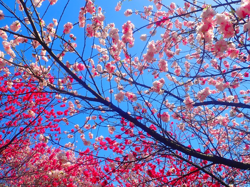 第55弾は阿智村touring