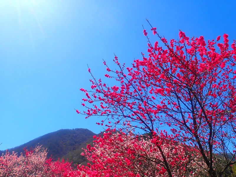 第55弾は阿智村touring