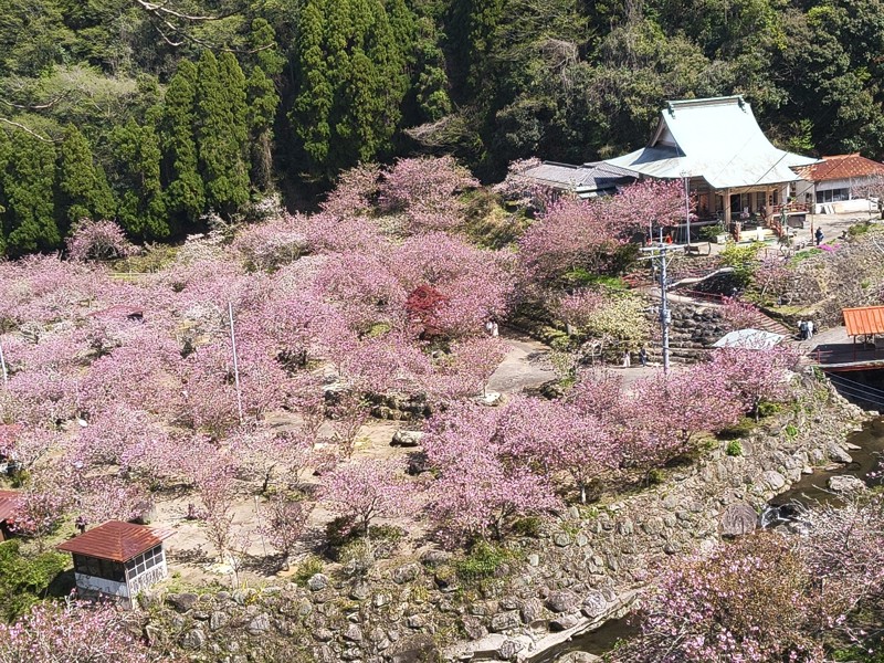 26.4.11障子岳登山⛰️
