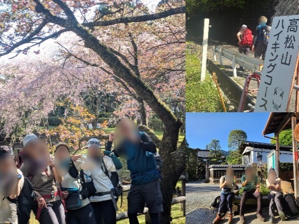 高松山桜お花見登山2026
