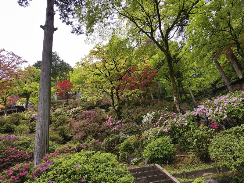 26.4.18基山⛰️つつじ園