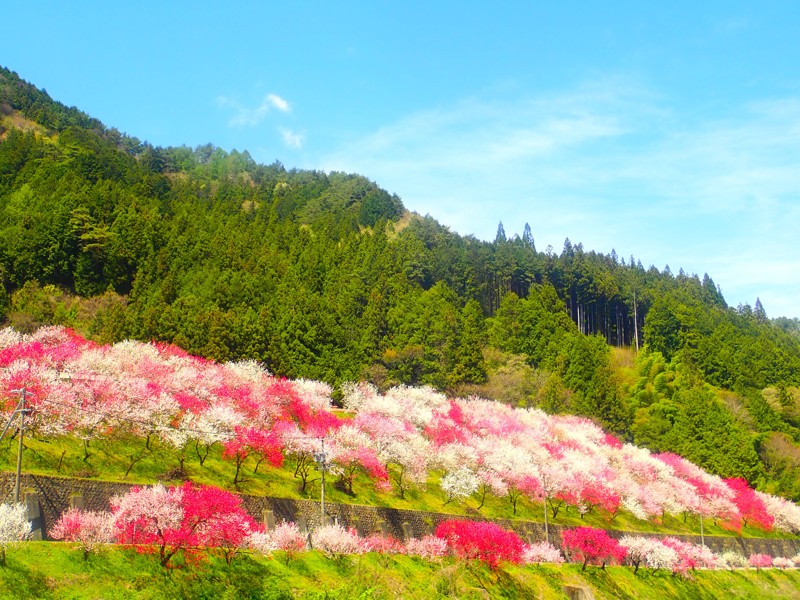 豊根阿智お泊りwalking