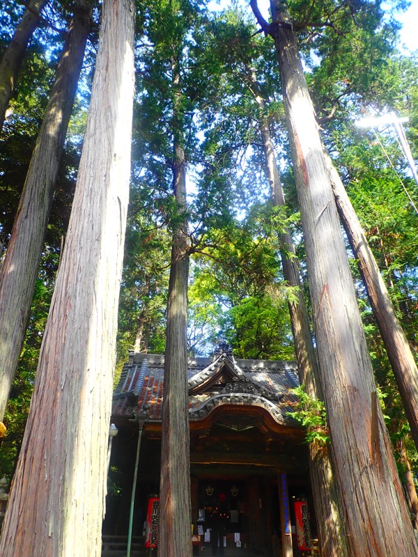 豊根阿智お泊りwalking