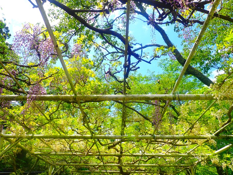 豊根阿智お泊りwalking