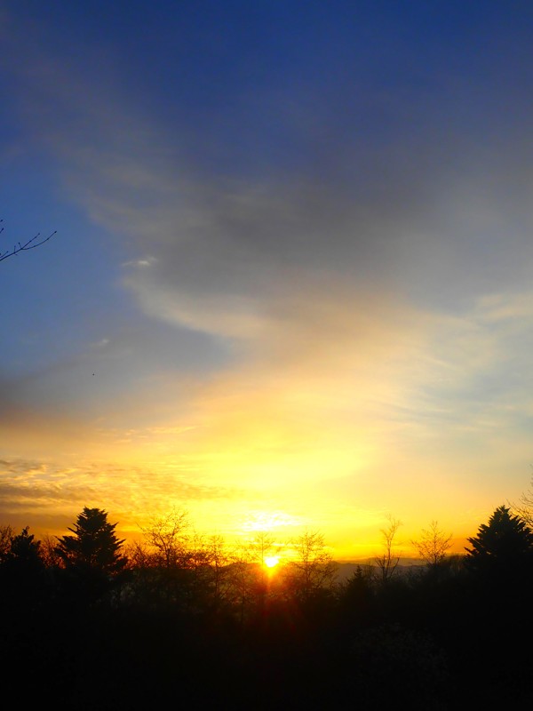 豊根阿智お泊りwalking