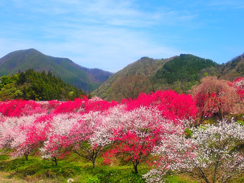 豊根阿智お泊りwalking
