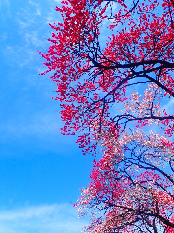 豊根阿智お泊りwalking