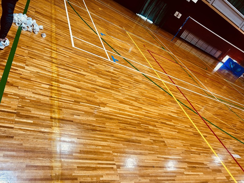 バドミントン🏸