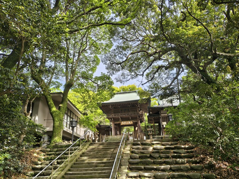 26.4.25志賀島散策🚶