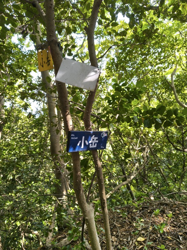 26.4.25志賀島散策🚶