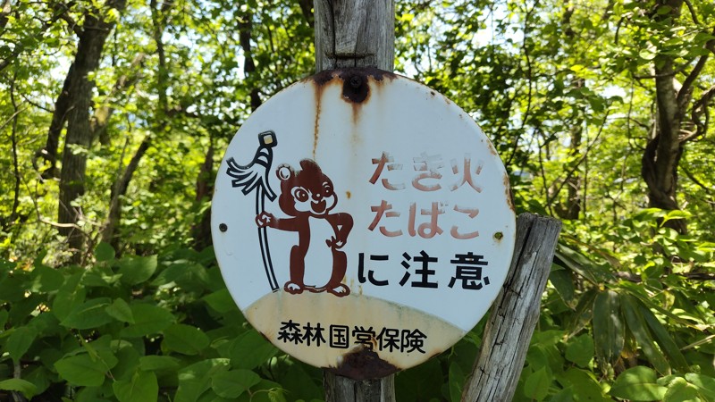 纏さま、まだまだ現役です