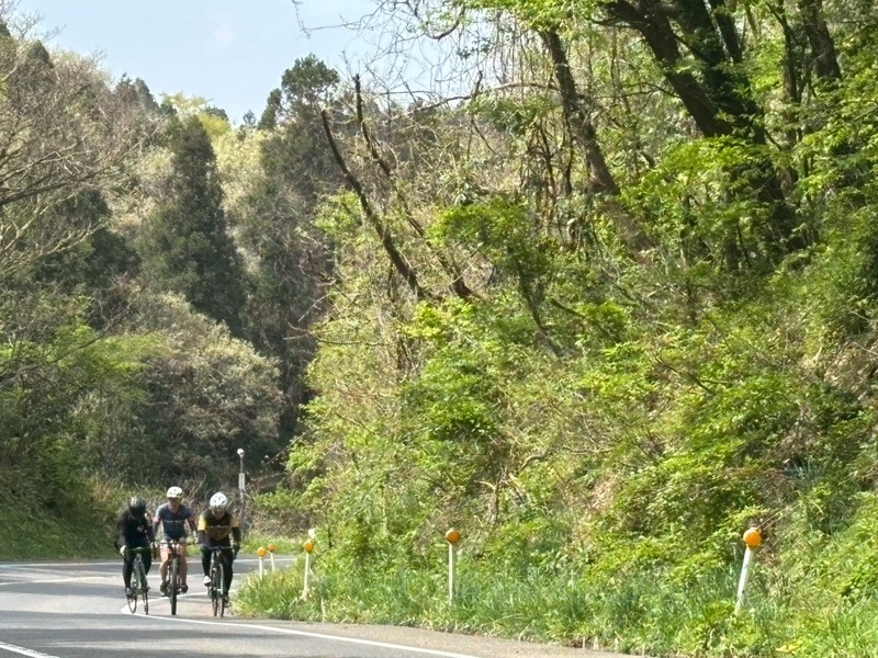 護摩堂山