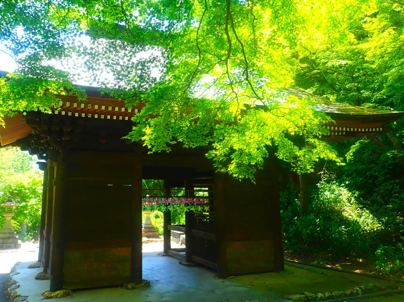 豊橋遠征walking