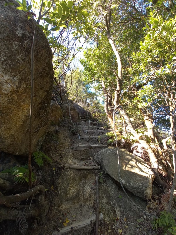 2026.05.09 亀尾山⛰