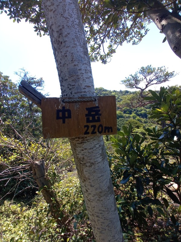 2026.05.09 亀尾山⛰
