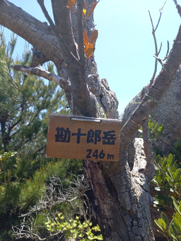 2026.05.09 亀尾山⛰