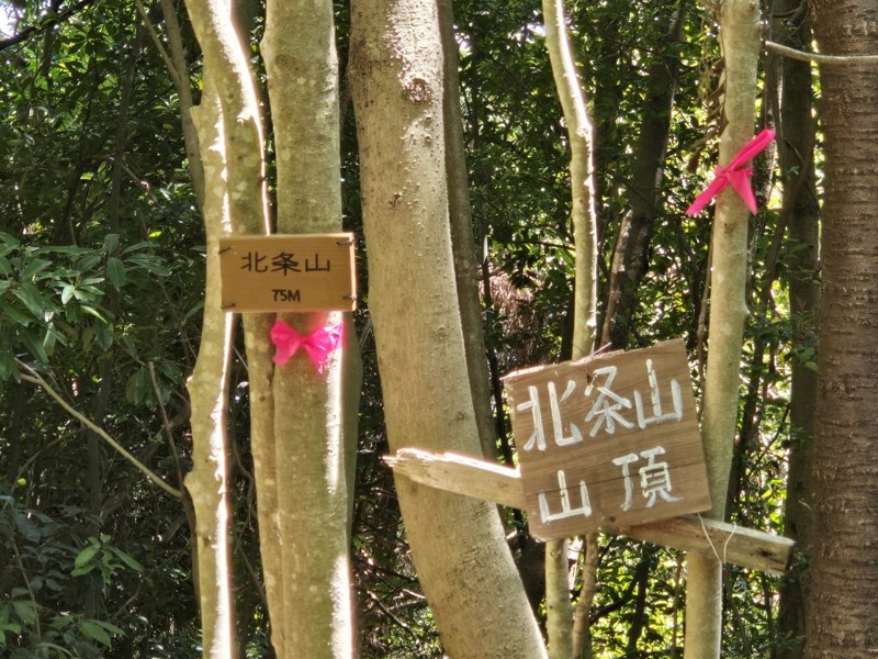 2026.05.09 亀尾山⛰