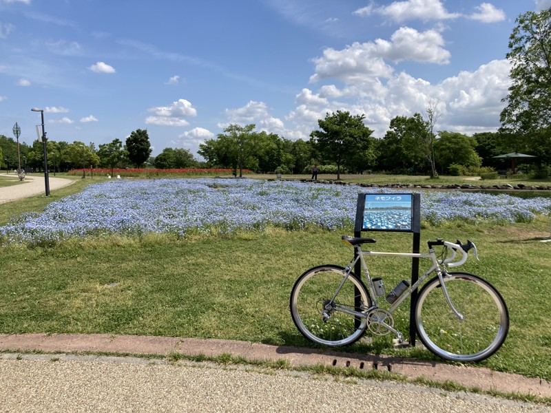 まつぶし緑の丘公園