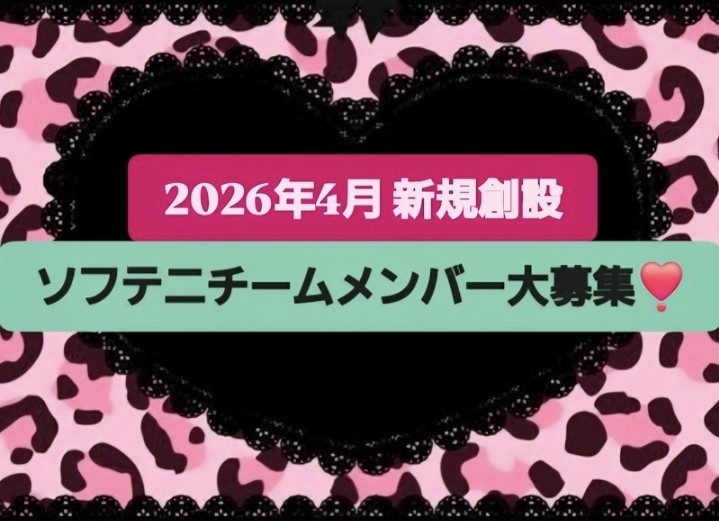 宮城県で1番新しいチームです✨