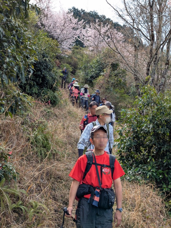 ２０２６年３月_薬王寺アルプス