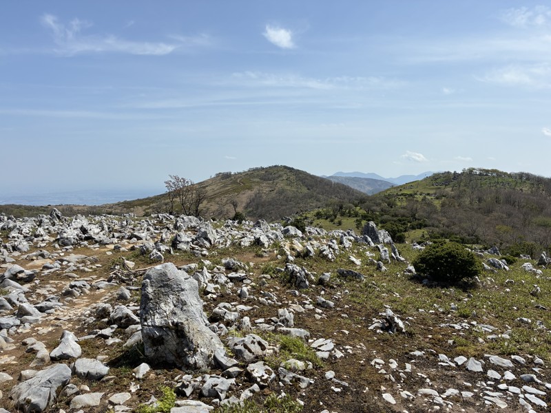 藤原岳
