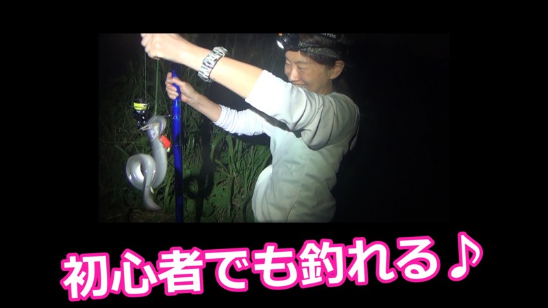 初心者でも釣れる!!!