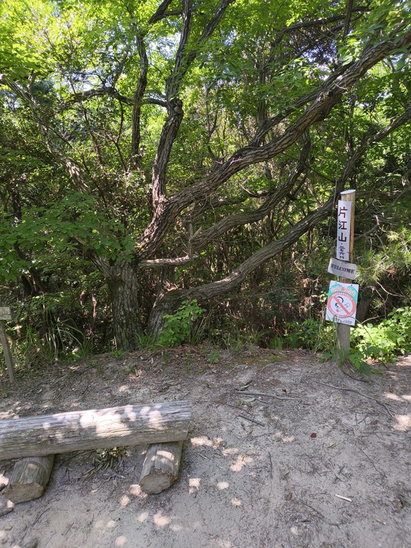 2026.05.16 油山⛰️