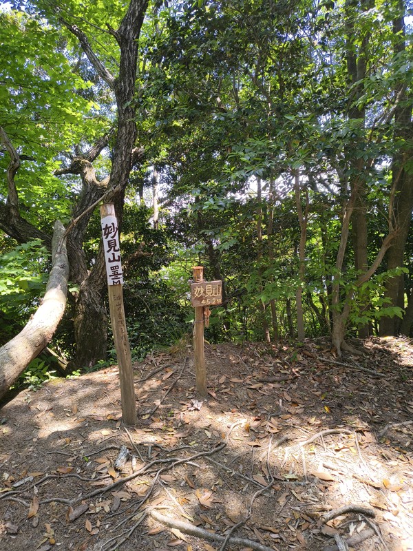 2026.05.16 油山⛰️