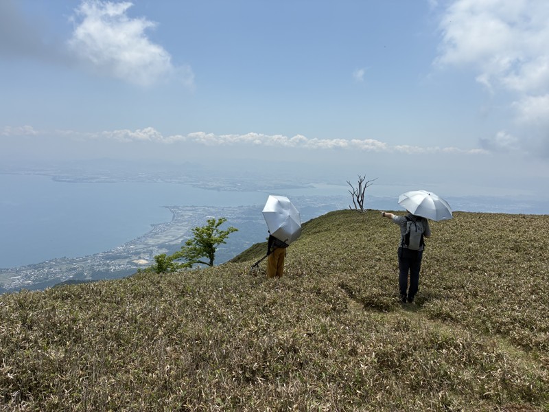蓬莱山 2026.5.16