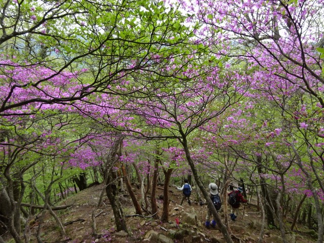 R8.05 日光高山