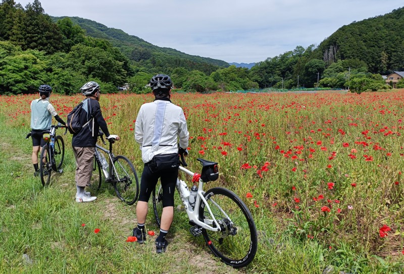 皆野町 三沢ポピー街道