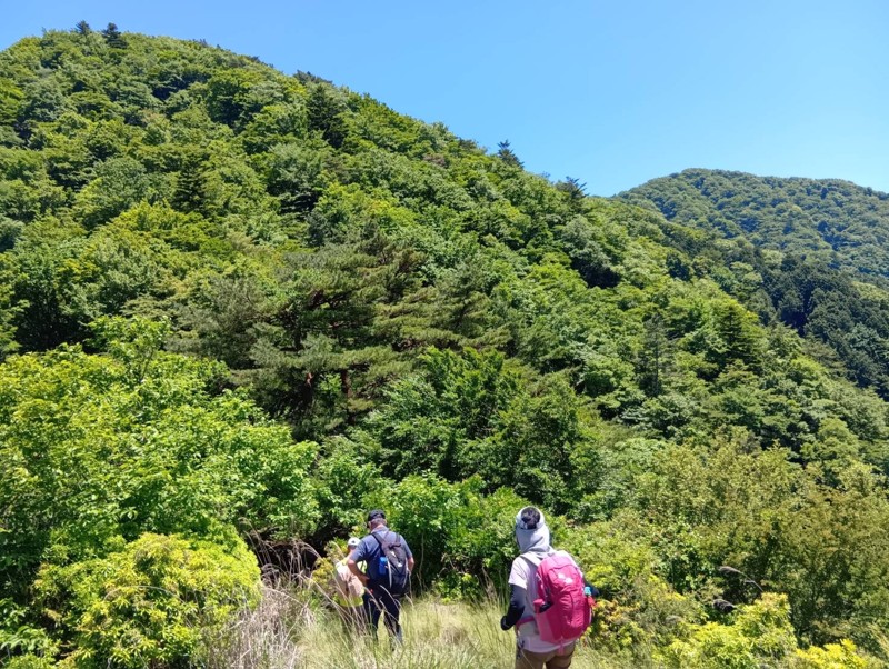 大山の北尾根 5/30