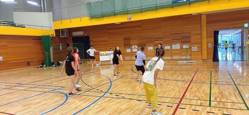 ワイワイバレーボール
