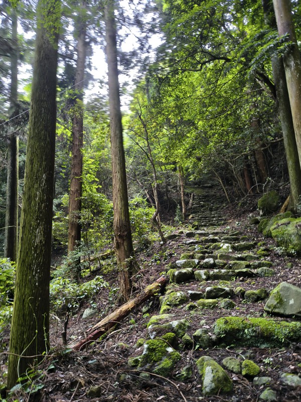 2026.06.06 倉持山