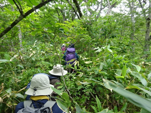 R8.06 雨呼山