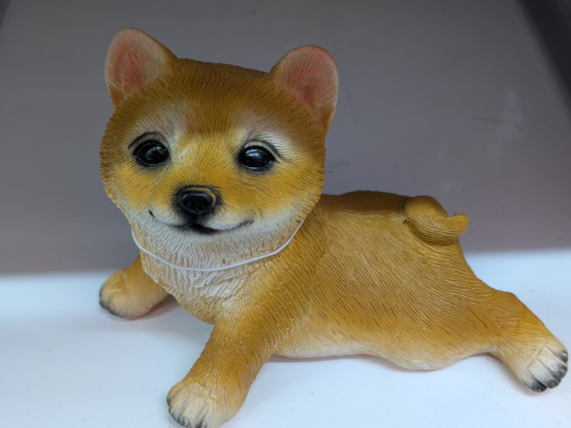 かまってちゃんだワン🐶