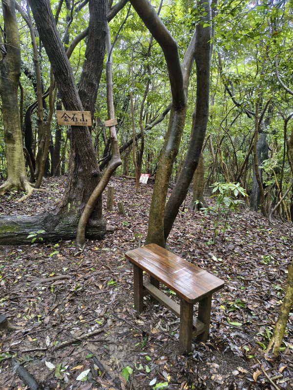 2026.06.27 関ノ山