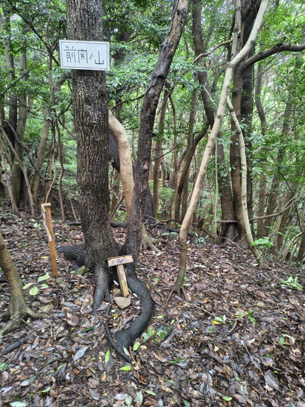 2026.06.27 関ノ山