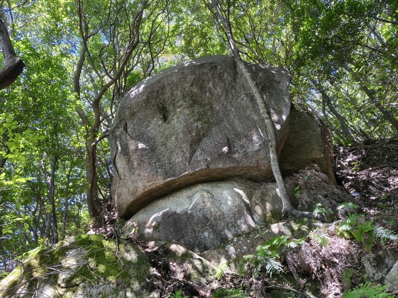 2026.07.11 金敷城山