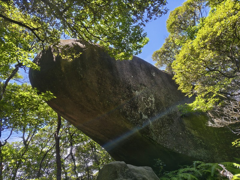 2026.07.11 金敷城山