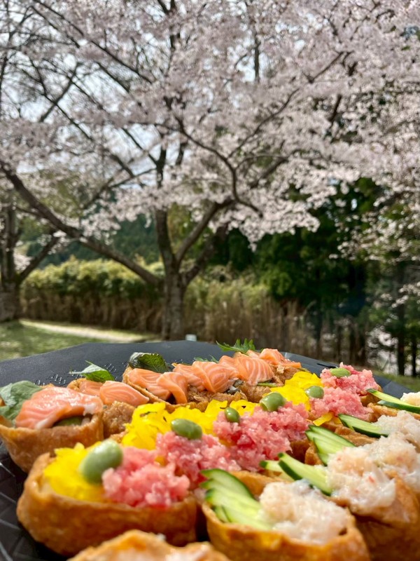 桜とキャンプ飯