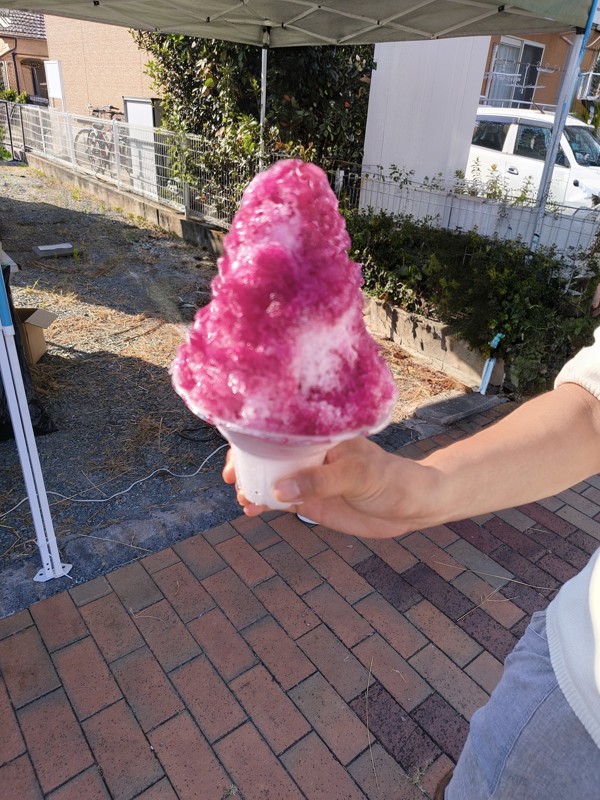 2026.07.25 筒ヶ岳⛰