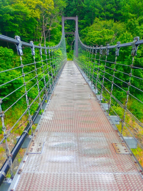 白鳥おどりwalking