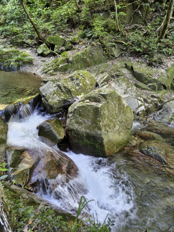 2026.08.01井原山⛰️