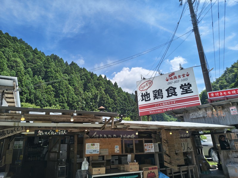 2026.08.01井原山⛰️
