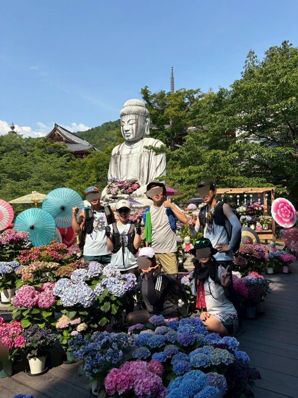 紫陽花見に行ってきたよ
