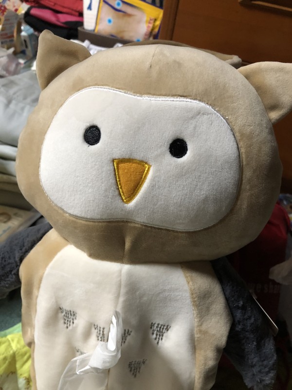新　こむぎ🏐